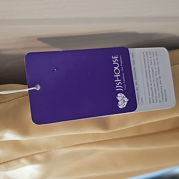 JJs House satin skirt delicate lace-embroidered bodice sheer short sleeves. - Picture 9 of 16